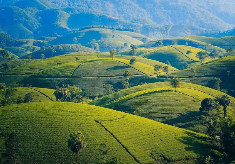 Green mountains, hills, Vietnam
