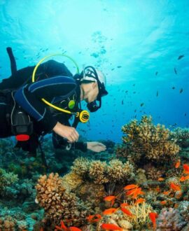 Scuba diving | Dintravel® Scuba diving