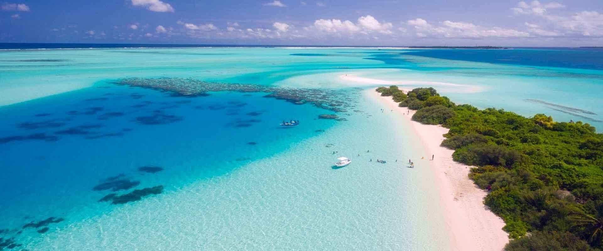 Book all Your Travel Services Online or Get a Free Quote!