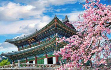 Cherry blossoms in spring Seoul South Korea | Dintravel® Cherry blossoms in spring Seoul South Korea