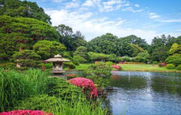 Shinjuku Gyoen Garden Tokyo | Dintravel® Shinjuku Gyoen Garden Tokyo